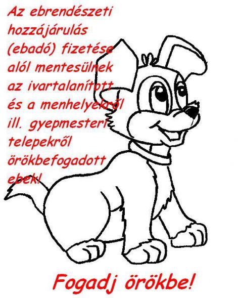 ebado_plakat.jpg